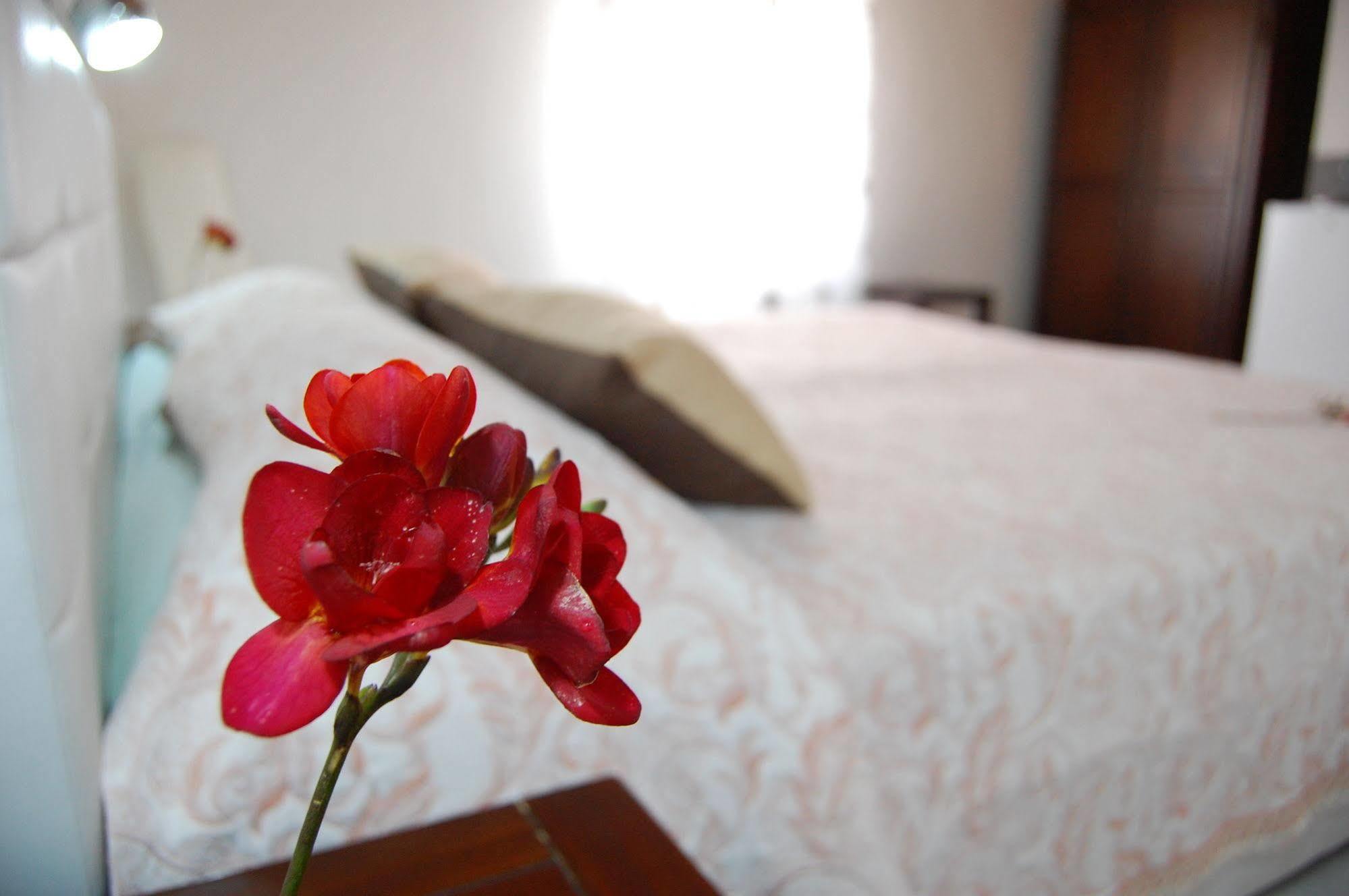 Il Mirto E La Rosa Bed and Breakfast Arenella  Exteriör bild